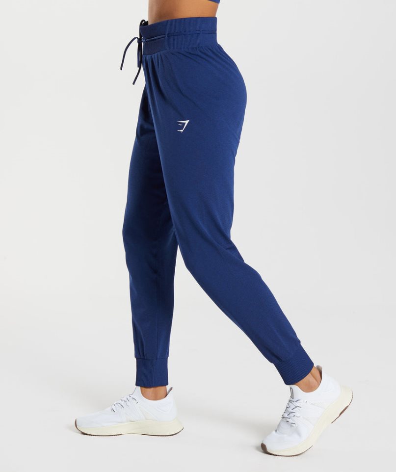 Women's Gymshark Vital Seamless 2.0 Jogger Blue | CA 08AN6D